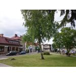 Imágenes de los usuarios Sony Xperia Z2