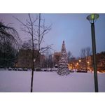 Imágenes de los usuarios Sony Xperia Z2