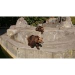 Imágenes de los usuarios Sony Xperia Z2