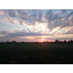 Imágenes de los usuarios Sony Xperia Z2