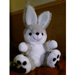 FOTOS AUS DIESEM HANDY