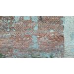 Pictures by this phone T-Mobile T Phone 5G 2023