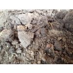 Pictures by this phone T-Mobile T Phone 5G 2023