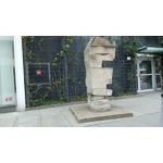 Pictures by this phone T-Mobile T Phone 5G 2023