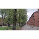 Pictures by this phone T-Mobile T Phone 5G 2023