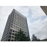 Pictures by this phone T-Mobile T Phone 5G 2023