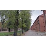 Pictures by this phone T-Mobile T Phone 5G 2023