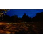 Pictures by this phone T-Mobile T Phone 5G 2023