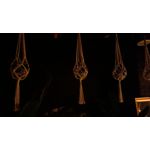 Pictures by this phone T-Mobile T Phone 5G 2023