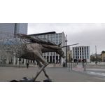 Pictures by this phone T-Mobile T Phone 5G 2023