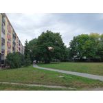 Pictures by this phone T-Mobile T Phone 5G 2023