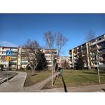 Imágenes de los usuarios T-Mobile T Phone Pro 5G Imágenes de los usuarios T-Mobile T Phone Pro 5G