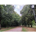 Imágenes de los usuarios T-Mobile T Phone Pro 5G Imágenes de los usuarios T-Mobile T Phone Pro 5G