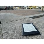 Imágenes de los usuarios T-Mobile T Phone Pro 5G Imágenes de los usuarios T-Mobile T Phone Pro 5G