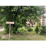 Imágenes de los usuarios T-Mobile T Phone Pro 5G Imágenes de los usuarios T-Mobile T Phone Pro 5G