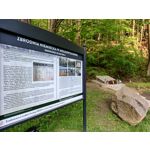 Imágenes de los usuarios T-Mobile T Phone Pro 5G Imágenes de los usuarios T-Mobile T Phone Pro 5G