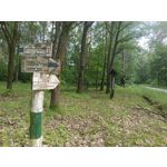 Imágenes de los usuarios T-Mobile T Phone Pro 5G Imágenes de los usuarios T-Mobile T Phone Pro 5G