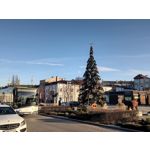 Imágenes de los usuarios T-Mobile T Phone Pro 5G Imágenes de los usuarios T-Mobile T Phone Pro 5G