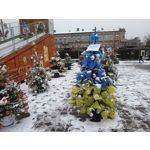 Imágenes de los usuarios T-Mobile T Phone Pro 5G Imágenes de los usuarios T-Mobile T Phone Pro 5G