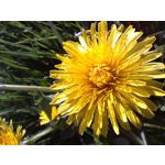 来自这款手机的图片