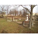 PICTURES FROM THIS PHONE