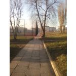 PICTURES FROM THIS PHONE