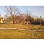 PICTURES FROM THIS PHONE