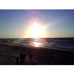 来自这款手机的图片