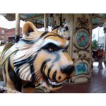 PICTURES FROM THIS PHONE