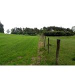 来自这款手机的图片