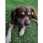 來自這款手機的圖片