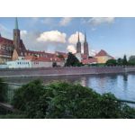 來自這款手機的圖片