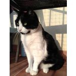 FOTO FATTE CON QUESTO TELEFONO