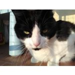 FOTO FATTE CON QUESTO TELEFONO