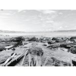 PICTURES FROM THIS PHONE