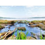 PICTURES FROM THIS PHONE