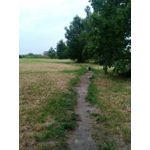 来自这款手机的图片