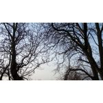 Selbst von Nutzern gemachte Bilder UMI Rome