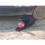 PICTURES FROM THIS PHONE