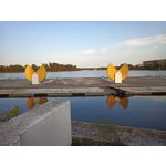 PICTURES FROM THIS PHONE