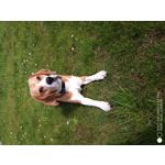 Foto's van de gebruikers Umidigi S3 Pro Foto's van de gebruikers Umidigi S3 Pro