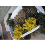 Foto's van de gebruikers Umidigi S3 Pro Foto's van de gebruikers Umidigi S3 Pro