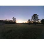 PICTURES FROM THIS PHONE