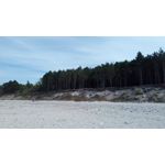 LAS FOTOS HECHAS CON ESTE TELÉFONO