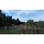 LAS FOTOS HECHAS CON ESTE TELÉFONO