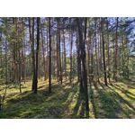 PHOTOS FAITES AVEC CE SMARTPHONE