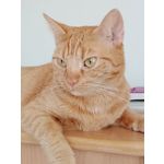 ФОТКИ СНЯТЫЕ ДАННЫМ МОБИЛЬНИКОМ