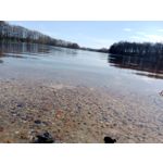 FOTOS AUS DIESEM HANDY