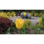 FOTOS AUS DIESEM HANDY