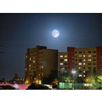 Foto's van de gebruikers Vivo X100 Ultra